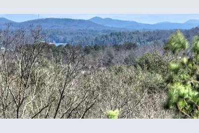 1489 Boy Scout Road, Blairsville, GA 30512 - Photo 29