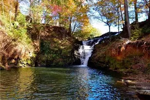 181 Fox Den Cir, Jasper, GA 30143 - Photo 109