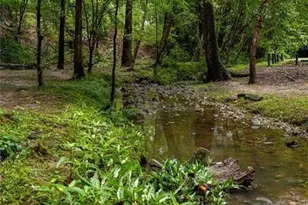 2045 Telfair Cir NE, Atlanta, GA 30324 - Photo 59