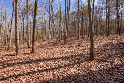 843 Fern Valley Road Road, Ellijay, GA 30536 - Photo 59