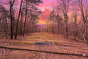 843 Fern Valley Road Rd, Ellijay, GA 30536 - Photo 57