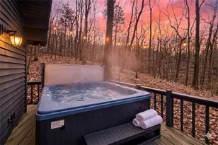 843 Fern Valley Road Rd, Ellijay, GA 30536 - Photo 5