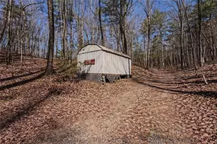 843 Fern Valley Road Rd, Ellijay, GA 30536 - Photo 49