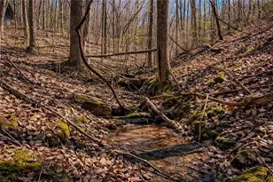 843 Fern Valley Road Rd, Ellijay, GA 30536 - Photo 7