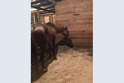 2324 E Cherokee Drive, Woodstock, GA 30188 - Photo 23