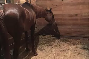 2324 E Cherokee Dr, Woodstock, GA 30188 - Photo 23