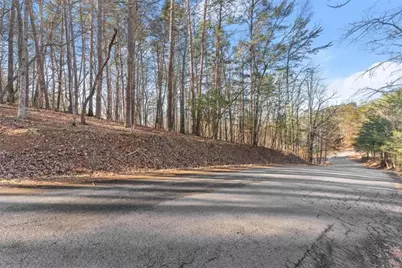 0 Golden Lot 2 Avenue, Dahlonega, GA 30533 - Photo 9