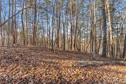 0 Golden Lot 2 Avenue, Dahlonega, GA 30533 - Photo 11