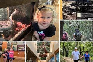 5375 NE Keepsake Ct, Cumming, GA 30040 - Photo 23