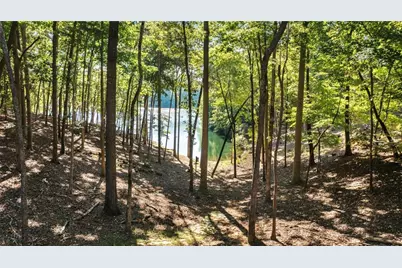33 Kingfisher Point, Big Canoe, GA 30143 - Photo 51