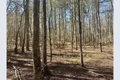 555 Larmon Forks Road, Dahlonega, GA 30533 - Photo 3