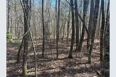 555 Larmon Forks Road, Dahlonega, GA 30533 - Photo 7