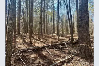 555 Larmon Forks Road, Dahlonega, GA 30533 - Photo 5