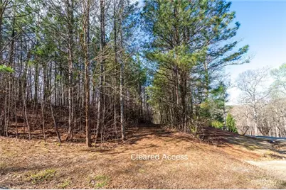 14 Hawks Branch Lane, White, GA 30184 - Photo 5