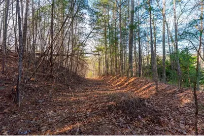 14 Hawks Branch Lane, White, GA 30184 - Photo 7