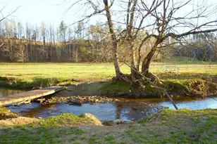 715 E Cochran Rd SE, Ranger, GA 30734 - Photo 61