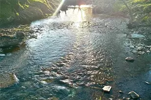 715 E Cochran Rd SE, Ranger, GA 30734 - Photo 7