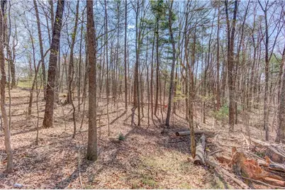 47 Tobacco Pouch Creek Road, Dahlonega, GA 30533 - Photo 29