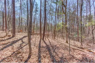 47 Tobacco Pouch Creek Road, Dahlonega, GA 30533 - Photo 35