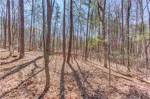 47 Tobacco Pouch Creek Rd, Dahlonega, GA 30533 - Photo 35