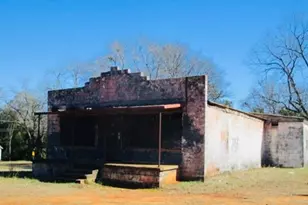 194 Milken Ave, Richland, GA 31825 - Photo 1