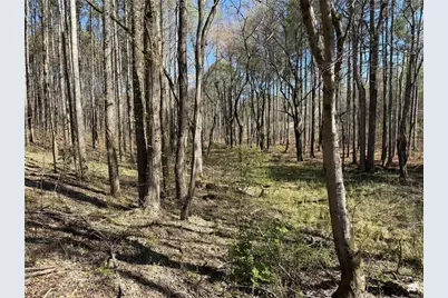 00 Henderson Mountain Road, Fairmount, GA 30139 - Photo 7