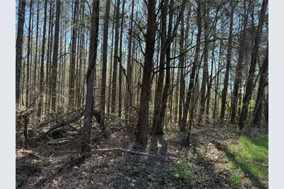 00 Henderson Mountain Road, Fairmount, GA 30139 - Photo 3