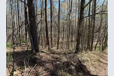 00 Henderson Mountain Road, Fairmount, GA 30139 - Photo 9