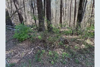 00 Henderson Mountain Road, Fairmount, GA 30139 - Photo 11