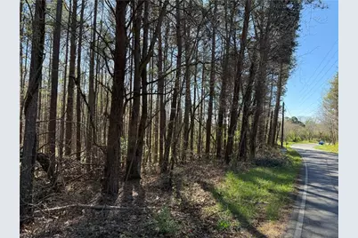 00 Henderson Mountain Road, Fairmount, GA 30139 - Photo 1