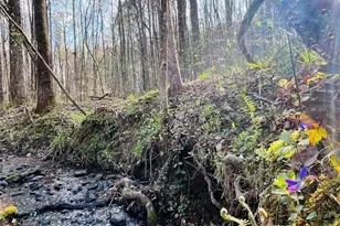 211 Maggies Rd, Canton, GA 30115 - Photo 71