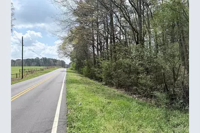 00 Old Columbus Road, Bowdon, GA 30108 - Photo 9