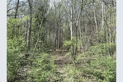 00 Old Columbus Road, Bowdon, GA 30108 - Photo 5