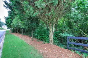 346 Thorn Creek Way, Dallas, GA 30157 - Photo 49