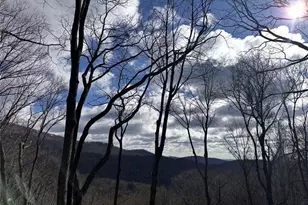 511 Hickory Trail, Jasper, GA 30143 - Photo 73