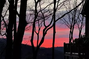 511 Hickory Trail, Jasper, GA 30143 - Photo 69