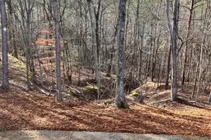 5123 Yellow Creek Rd, Ball Ground, GA 30107 - Photo 27