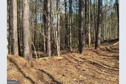 262 White Creek Loop, Rockmart, GA 30153 - Photo 3