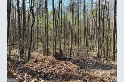 262 White Creek Loop, Rockmart, GA 30153 - Photo 5