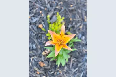 3420 Chattahoochee Road, Cumming, GA 30041 - Photo 73