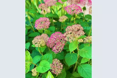 3420 Chattahoochee Road, Cumming, GA 30041 - Photo 67