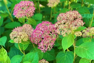 3420 Chattahoochee Rd, Cumming, GA 30041 - Photo 67