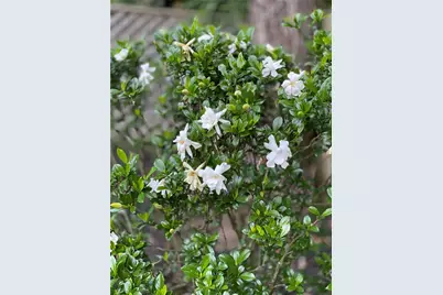 3420 Chattahoochee Road, Cumming, GA 30041 - Photo 71