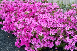 3420 Chattahoochee Rd, Cumming, GA 30041 - Photo 75