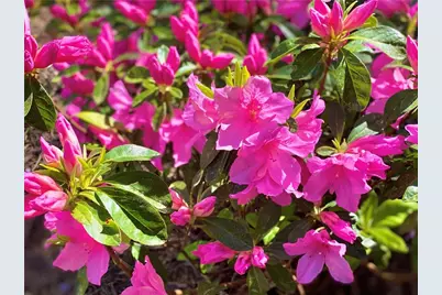 3420 Chattahoochee Road, Cumming, GA 30041 - Photo 63