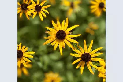 3420 Chattahoochee Road, Cumming, GA 30041 - Photo 69