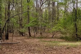 16040 Henderson Rd, Milton, GA 30004 - Photo 9