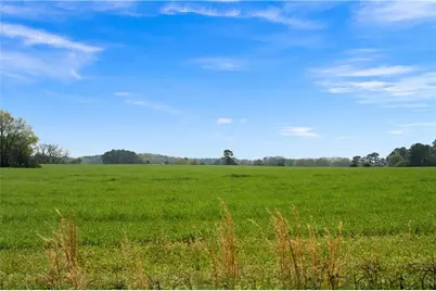 0 Taylorsville Macedonia Rd. Tract 1 Road, Taylorsville, GA 30178 - Photo 3