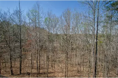 103 Academy Lane, Canton, GA 30114 - Photo 55