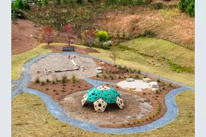 8925 Avonbrook Close, Ball Ground, GA 30107 - Photo 31